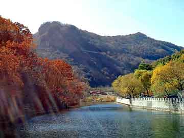 新澳门二四六天天彩，落花无意惹春风